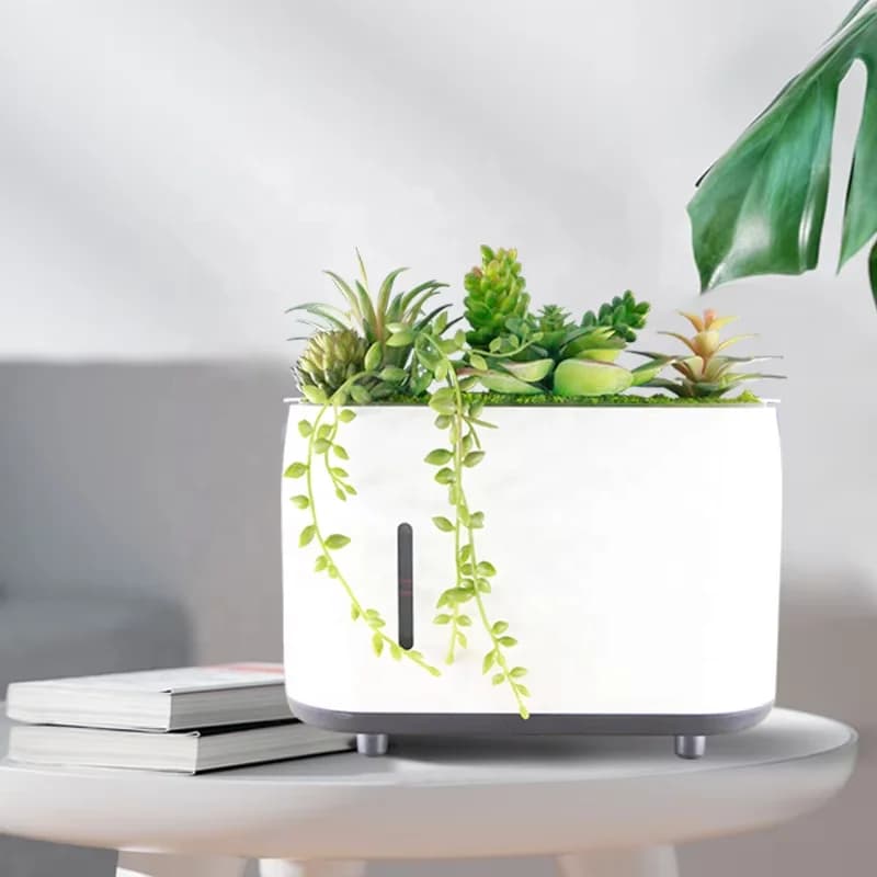 仿真植物加湿器 音乐家大雾量香薰加湿器